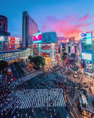 東京 フランス 飛行機 空を超えた文化の交差点